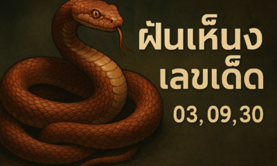 ฝันเห็นงูเลขเด็ด